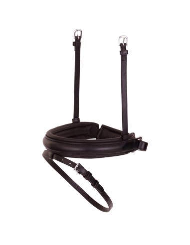 BR schwedisch kombiniertes Reithalfter