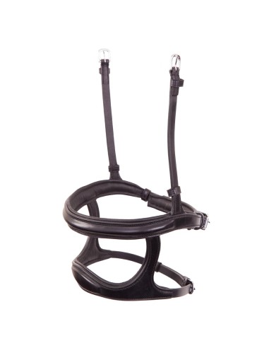 BR doppelter Nasenriemen