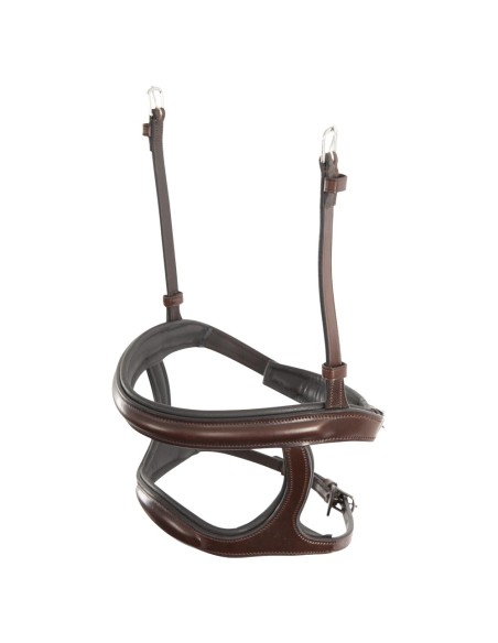 BR Double Noseband