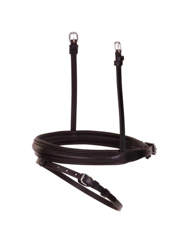 BR englisch kombiniertes Reithalfter...