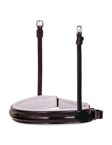 BR schwedisches Reithalfter Lacquer