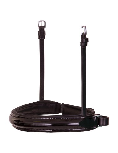 BR aansnoerneusriem stang en trens Lacquer