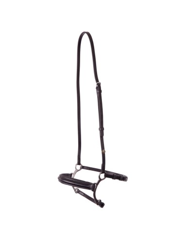 BR Combination Lever Noseband