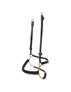 BR Combination Lever...