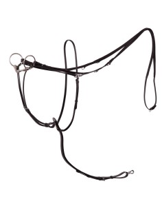 BR thiedemann teugel...