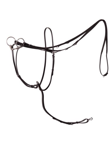 BR thiedemann teugel Lancaster