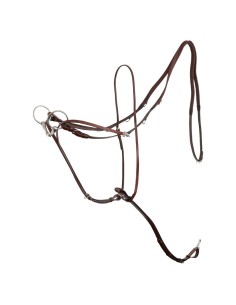 BR thiedemann teugel...