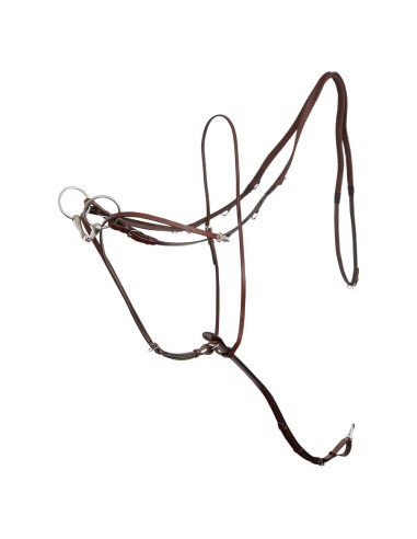 BR Market Harborough Lancaster