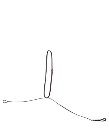 BR staande martingaal Hinckly