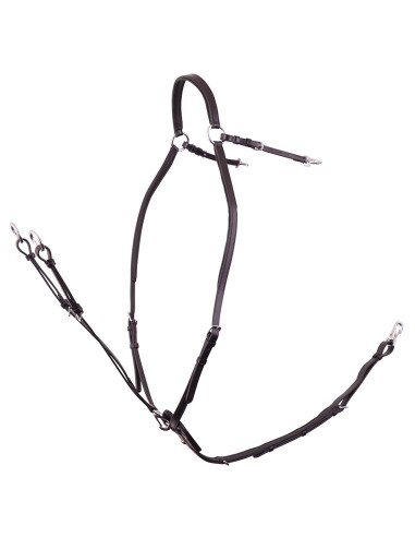 Collier de chasse BR Rayleigh