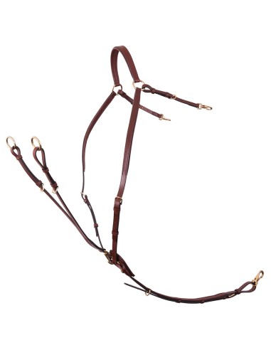 Collier de chasse BR Rayleigh