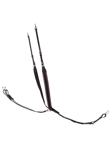 BR Vorderzeug Taunton