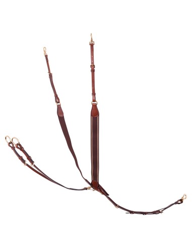 Collier de chasse BR Taunton