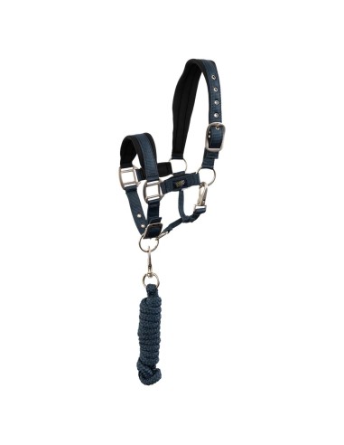 BR Mini Horse Halfter mit Anbindestrick
