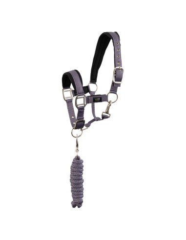BR Mini Horse Halter with Lead Rope