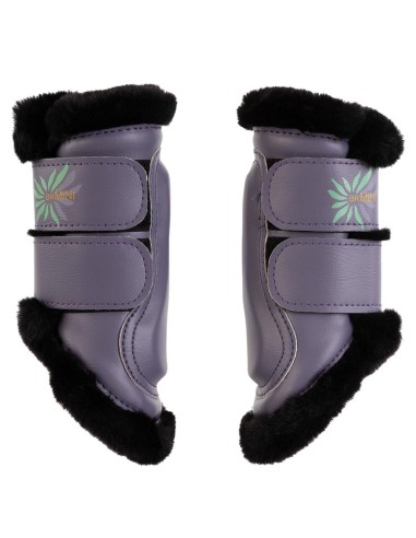 BR Mini Horse Majestic beenbeschermers