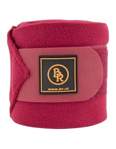 Bandes polaires BR Event