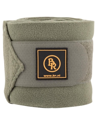 Bandes polaires BR Event