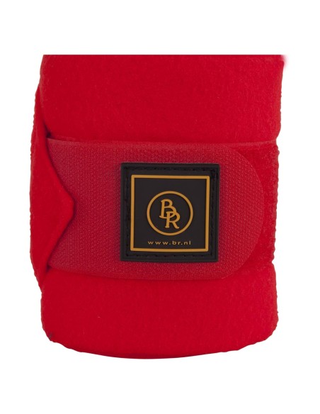 Bandes polaires BR Event