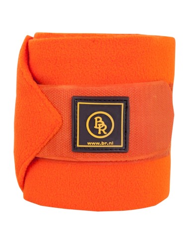 Bandes polaires BR Event