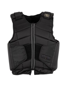 BR bodyprotector Carapax...
