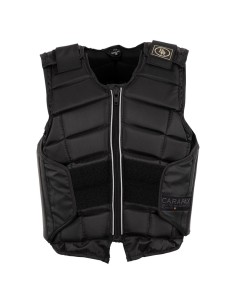 BR bodyprotector Carapax...