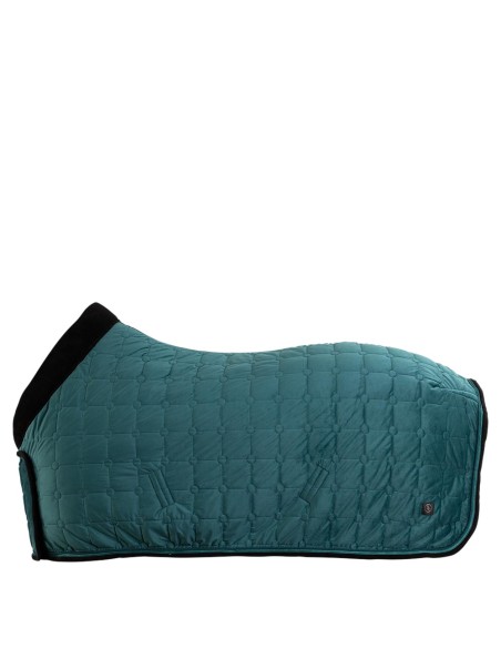 Couverture séchante BR CLX 100 g