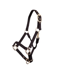 Licol poulain BR - Noir