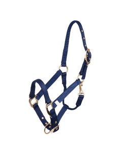 BR Halfter Fohlen - Blau