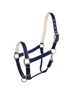 Licol BR Event - Bleu