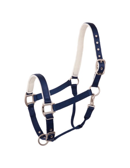 BR Halter Event