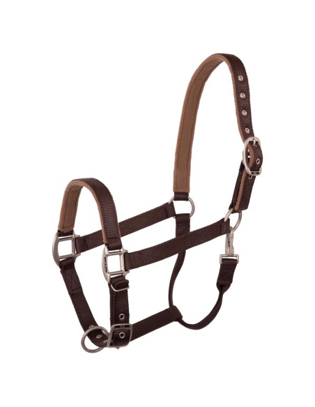 BR Halter Event