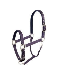 BR Halfter Event - Nightshade