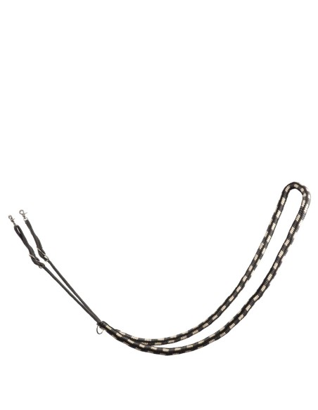 BR Lunging Aid ?
