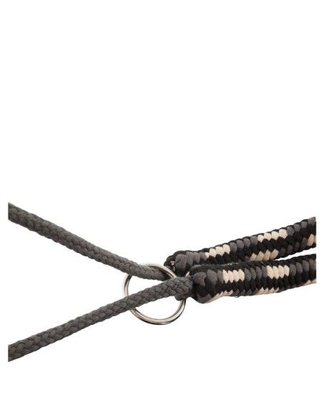 BR Lunging Aid ?