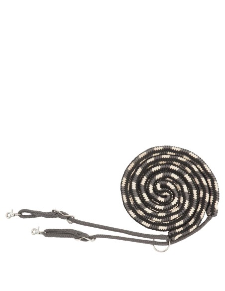 BR Lunging Aid ?