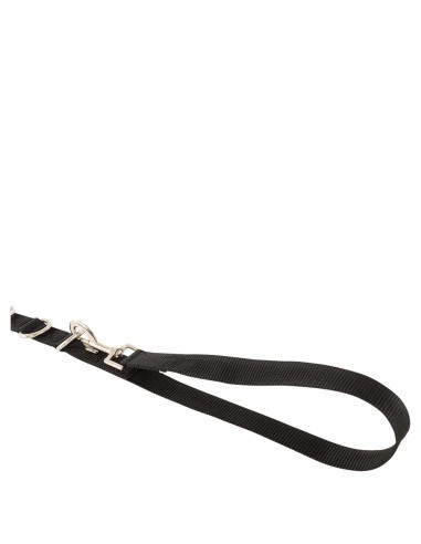 Rênes fixes BR avec anneau et élastique