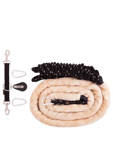 BR ConCord® Longe longeermethode