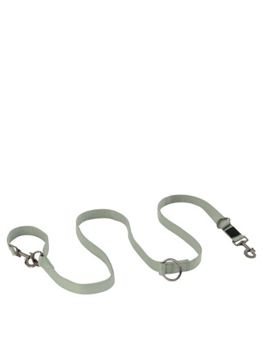 BR Dog Lead