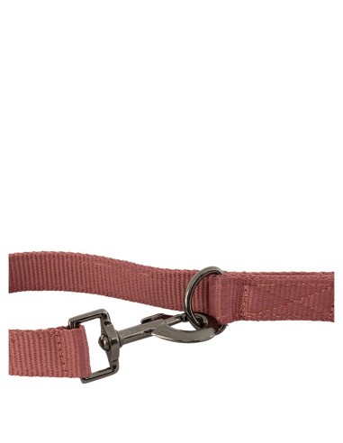 BR Dog Lead