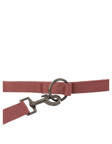 BR Dog Lead