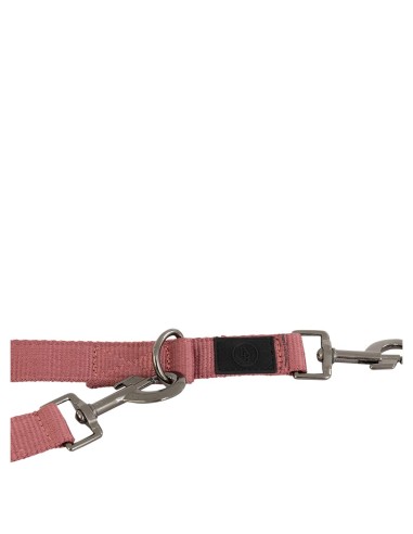 BR Dog Lead