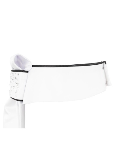 BR plastron Leon