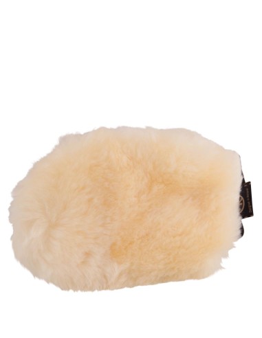 BR Grooming Glove
