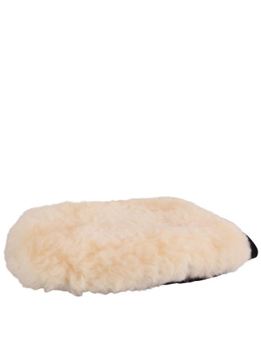 BR Grooming Glove