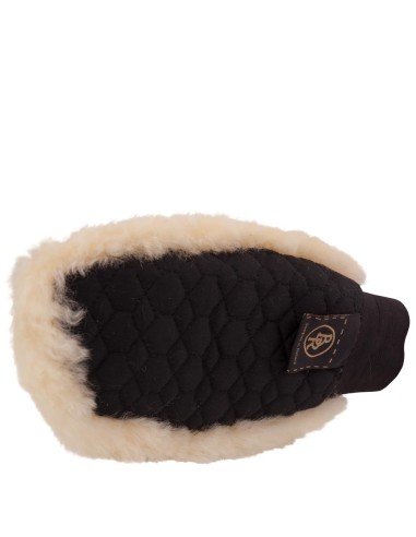 Gant de pansage BR