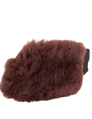 Gant de pansage BR
