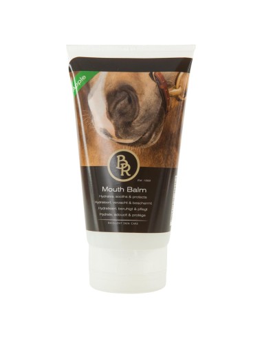Baume pour la bouche BR pomme