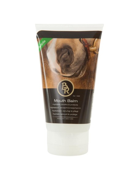 Baume pour la bouche BR pomme