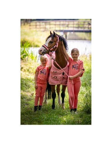 Licol avec longe BR Mini Horse